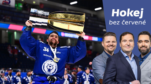 Hokej bez červené - V čem Kometa zaskočila favority na titul a jaký vztah má k reprezentaci Pastrňák?