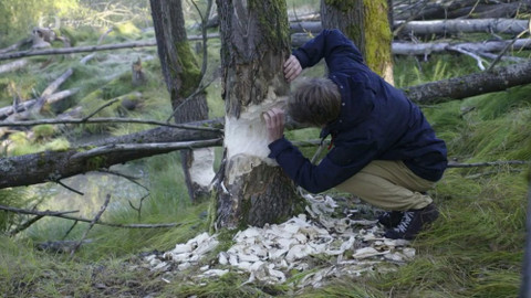 Do divočiny! - 1. Bobři a jejich divočina