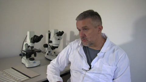 Legendy kriminalistiky - 3/11 DNA - Odložená spravedlnost