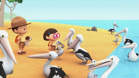 Leo, strážce přírody - Pelikán australský