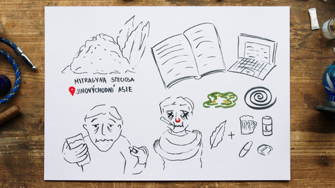 What the Fact? - Na čem jsou děti závislé?