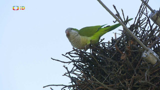 Terčin zvířecí svět