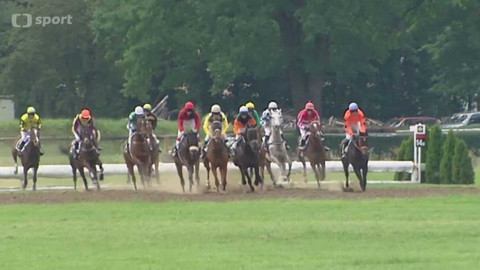 Turf - 8. června 2016