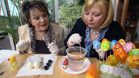 Hobby naší doby - Hoby naší doby