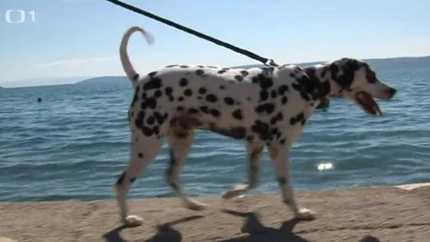 Postřehy odjinud - Chorvatsko očima Jaroslava Skalického