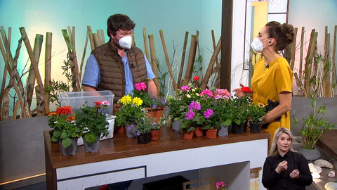 Sama doma - 23. dubna 2021