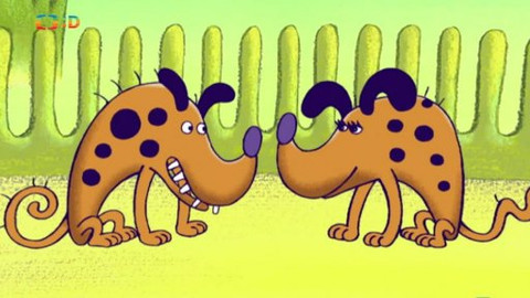Pojďme za zvířátky - Příběh o hyenách