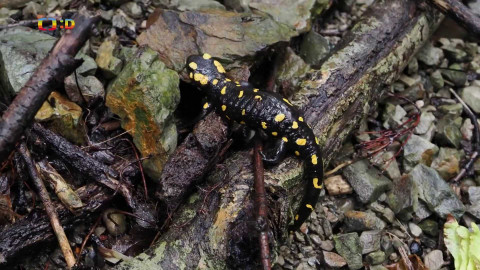 Zprávičky - 15. dubna