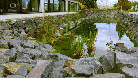 Polopatě - 12. listopadu 2023