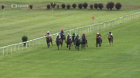 Koně a sport - 24. července