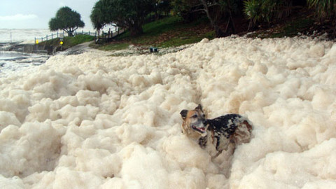 Podivuhodné přírodní úkazy - Epizoda 2/2