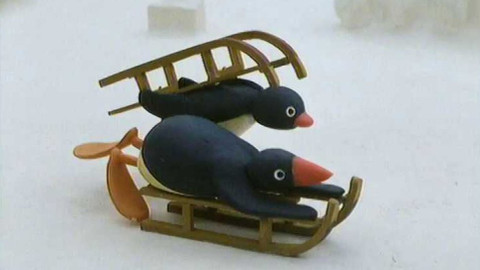 Pingu - Jak sáňkovali
