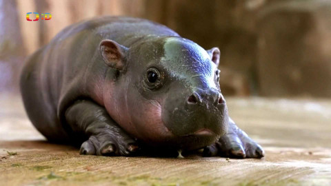 Zprávičky - 27. února