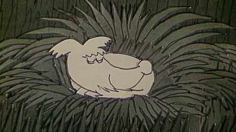 Dášeňka - 6/7 Jak sportovala