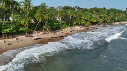 Vůně cizích krajů - Gabon, zelený skvost Afriky