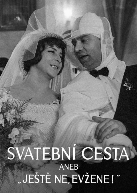 Svatební cesta aneb Ještě ne, Evžene!