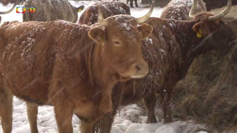 Zprávičky - 10. února 2021