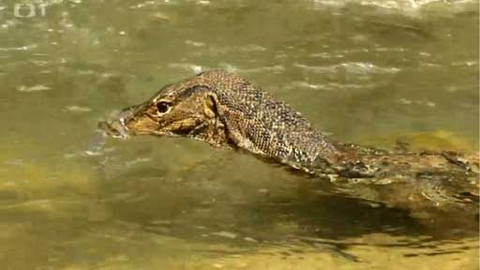 Objektiv - 26. července 2015