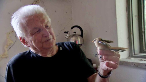 Nedej se! - Za ptactvem vodním