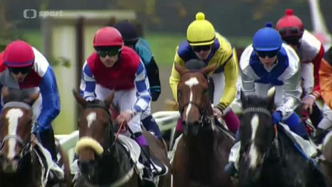 Turf - 15. října 2014