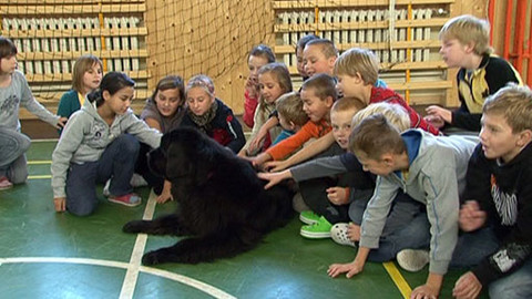 Chcete mě? - 16. ledna 2011