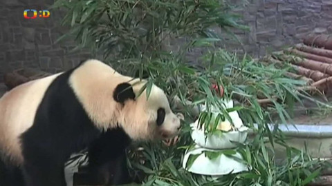 Zprávičky - 28. srpna 2018