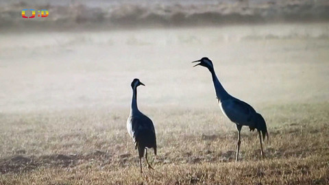 Zprávičky - 4. března