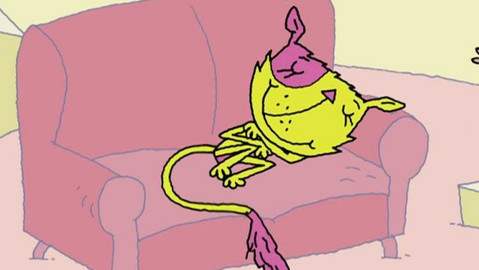 Kočka Linda, poklad rodiny - 6/13 Kočičí pokoj