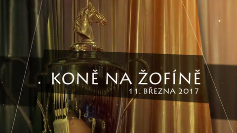 Koně na Žofíně 2016