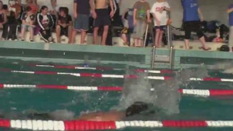 Plavání - Velká cena Krnova