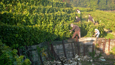 GEO 360° - Šampaňské - bublinky touhy