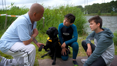 Zvířecí detektivové - 6/13 Pes Norman