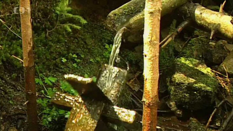 Náš venkov - Beskydské studánky