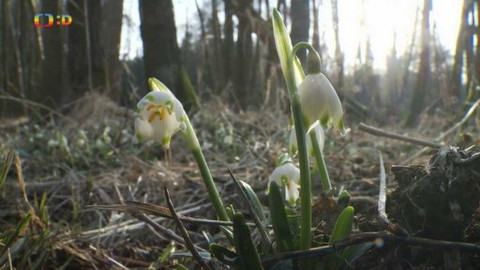 Novinky z přírody - Epizoda 3/53