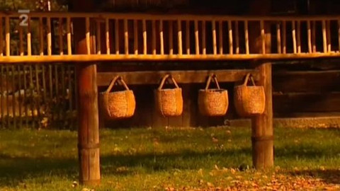 Kultura.cz - 6. listopadu 2010