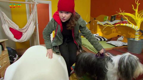 Terčin zvířecí svět - 21. února 2020