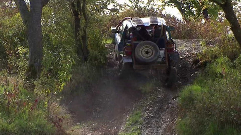 Nedej se! - Tanky a koně