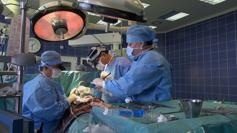 O vědě a vědcích - Dobrodružství poznání