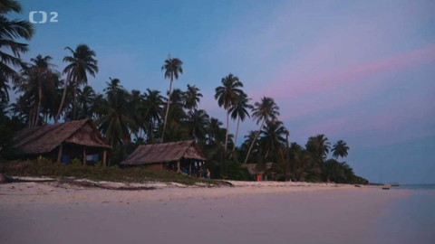 Nedej se! - Oko tygra