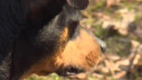 Chcete mě? - Chcete je?