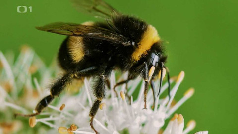 Polopatě - 28. června 2020