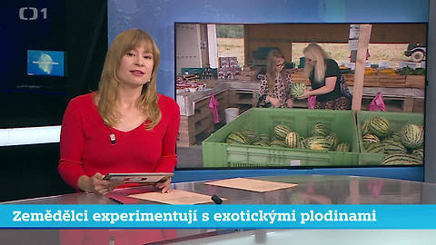 Události v regionech (sever a východ) - 19. srpna
