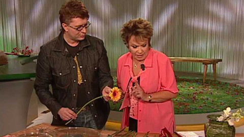 Dobrá rada nad zlato - 6. října 2007