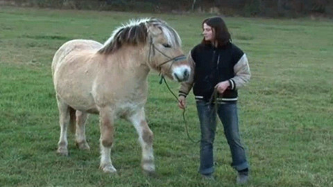 Život bez škatulky