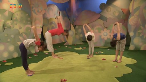 Jogínci - 31. ledna 2014