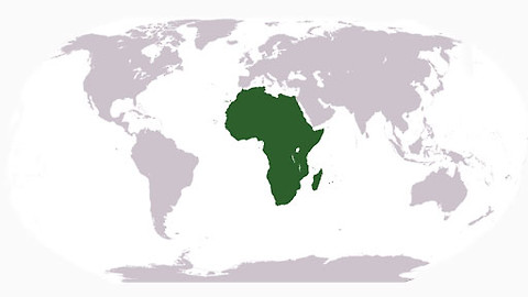 Podivuhodný svět - Má láska Afrika