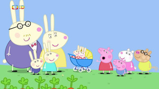 Prasátko Peppa V