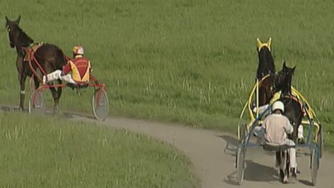 Jezdectví - Jarní cena čtyřletých