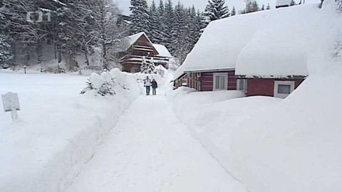 Černé ovce - 13. března 2017