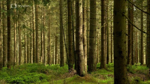 Kapka vody - Parní stroje